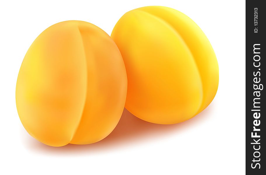 Photo-realistic  illustration. Two ripe apricots.