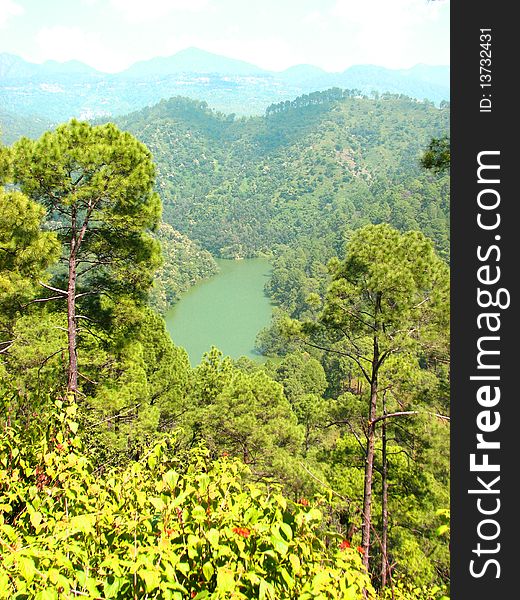 Forest surrouding lake in hills. Forest surrouding lake in hills