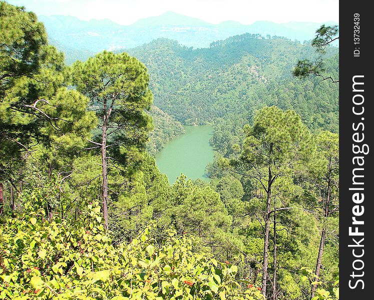 Forest surrouding lake in hills. Forest surrouding lake in hills