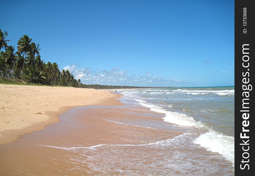 Large Beach At The Caribbean