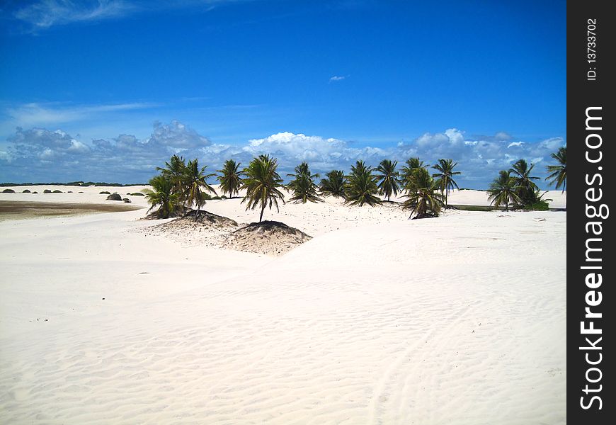 Beautiful scene of a tropical beach at the Caribbean