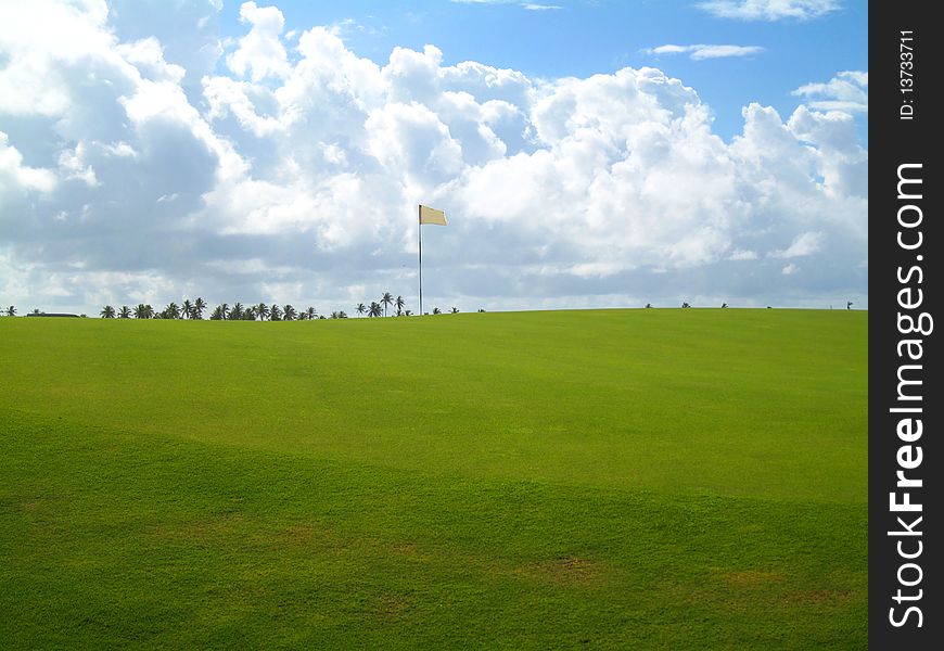 Palm trees on luxury golf course at the Caribbean