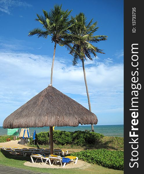 Outdoor resort beach with palm trees at the Caribbean