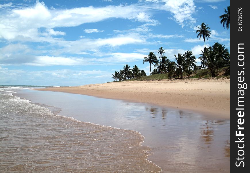Beautiful scene of a Caribbean beach