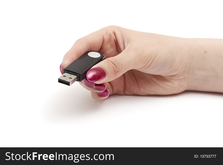 Flash Drive In Hand