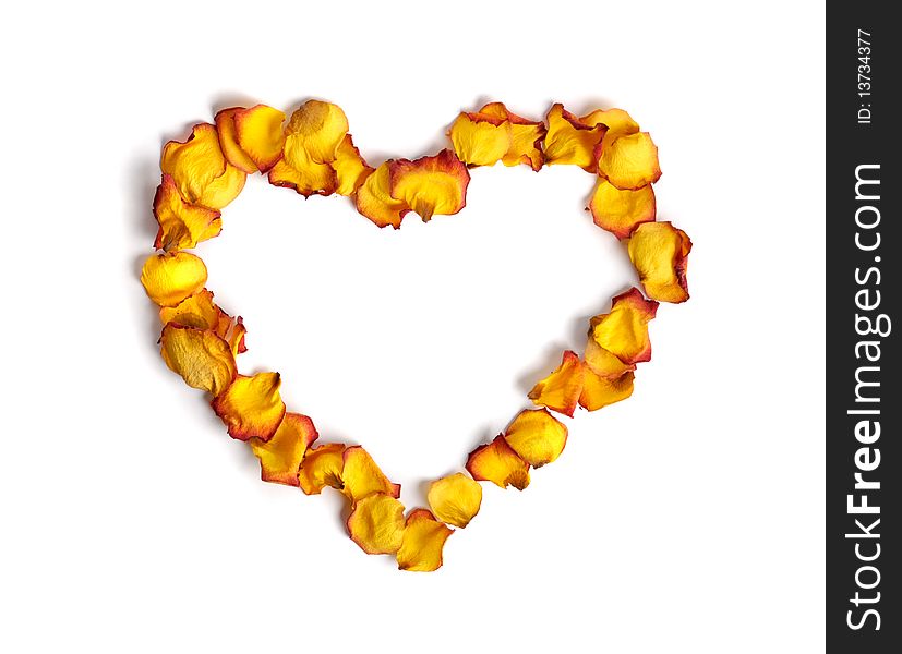 Heart shape made from withered yellow rose petals isolated on white background. Heart shape made from withered yellow rose petals isolated on white background