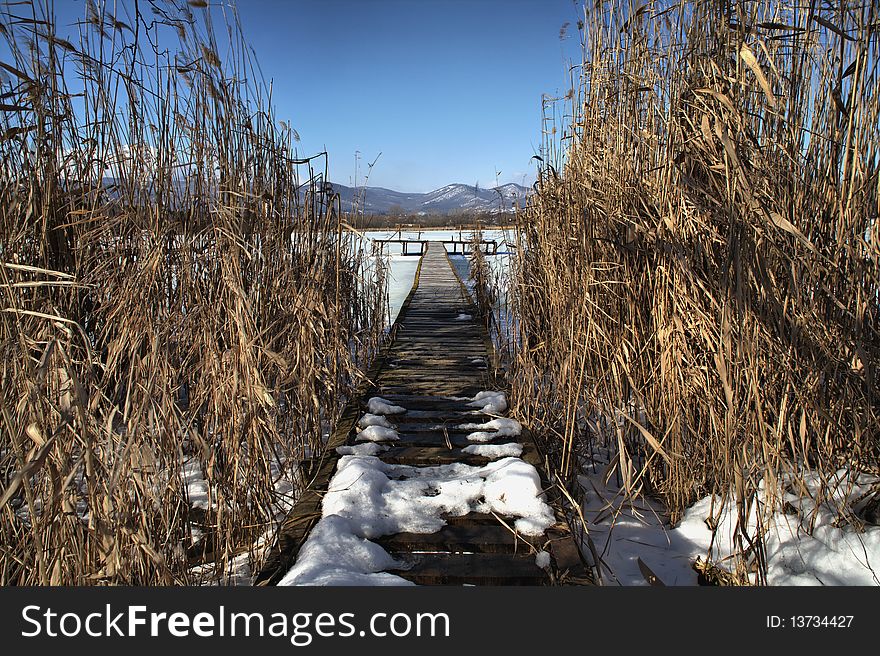 Pier in the reed