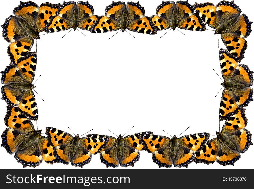 Butterfly frame on white background