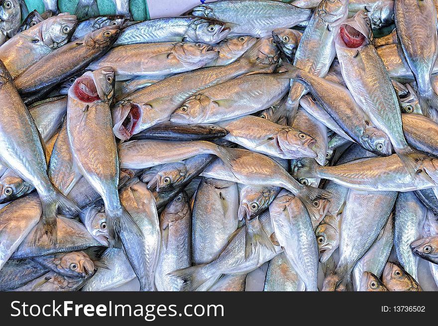 Fresh fish on a stall. Fresh fish on a stall