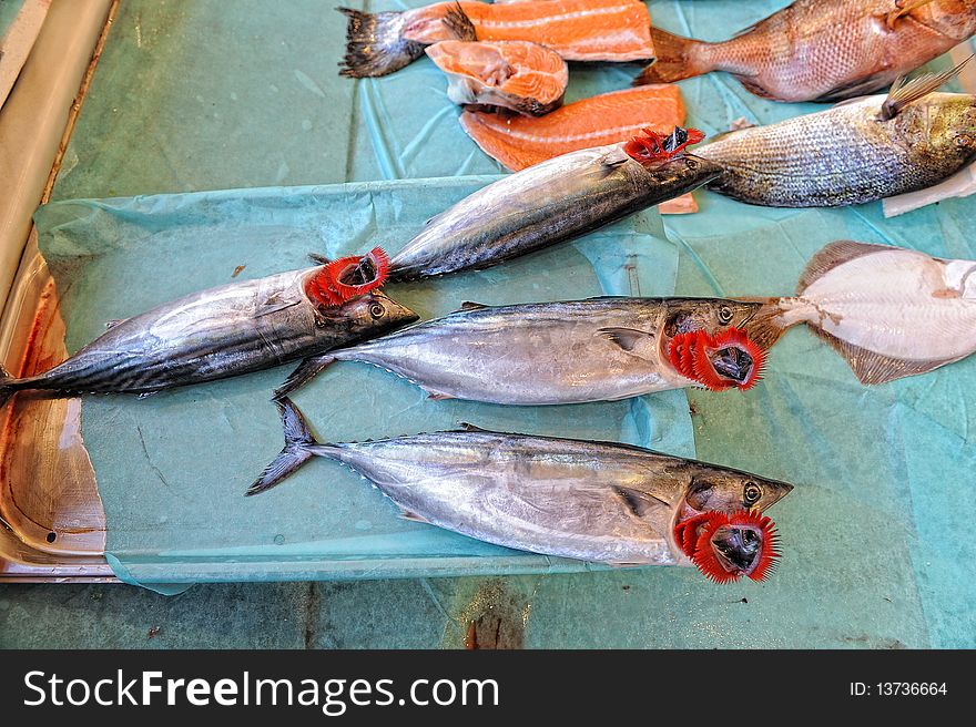 Fresh fish on a stall. Fresh fish on a stall