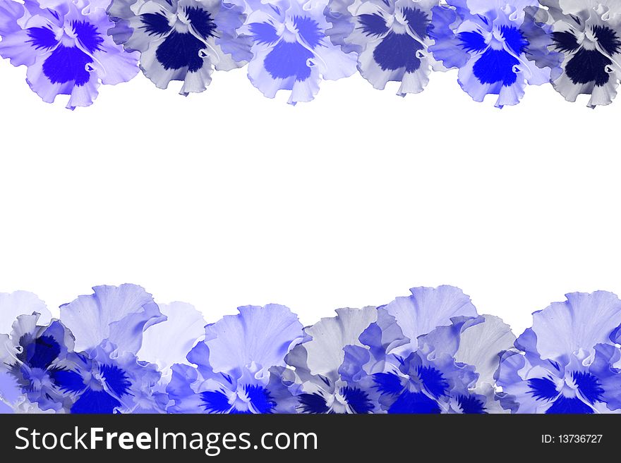 Frame with  blue violas isolaited. Frame with  blue violas isolaited