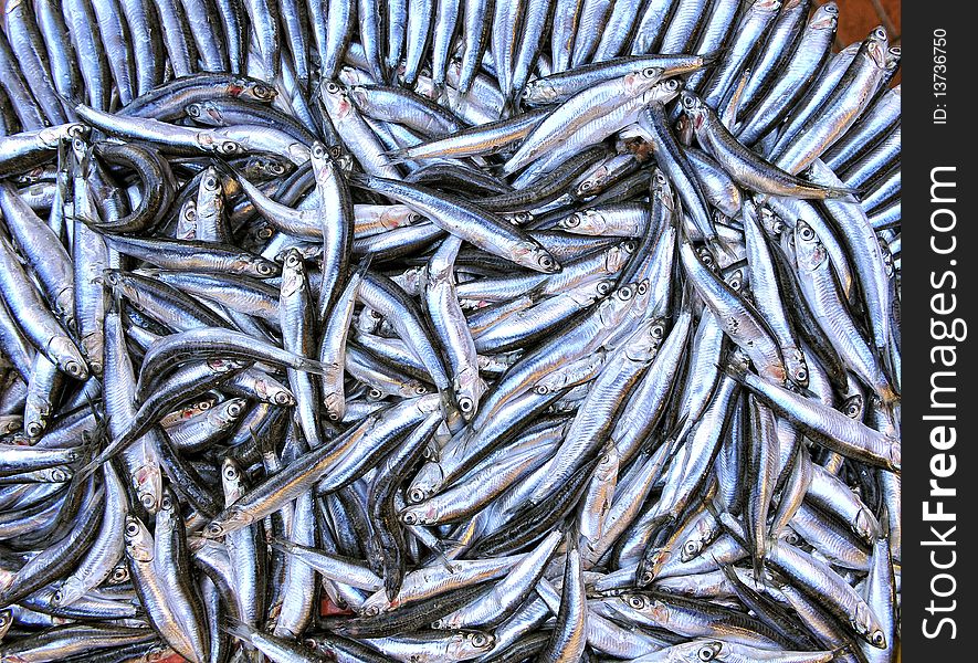 Fresh fish on a stall. Fresh fish on a stall