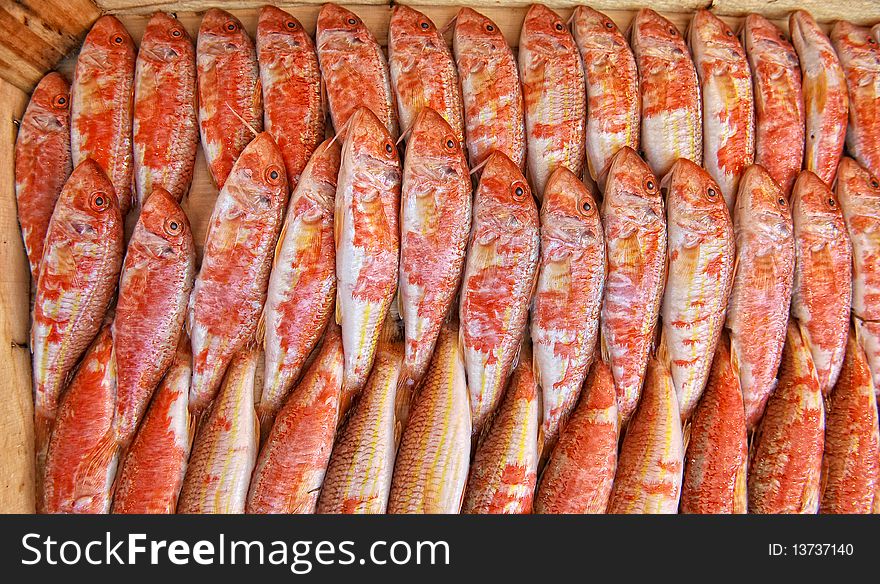 Fresh fish on a stall. Fresh fish on a stall