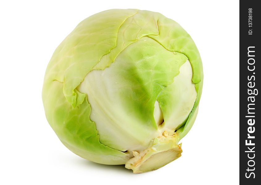 Green cabbage isolated on white background.