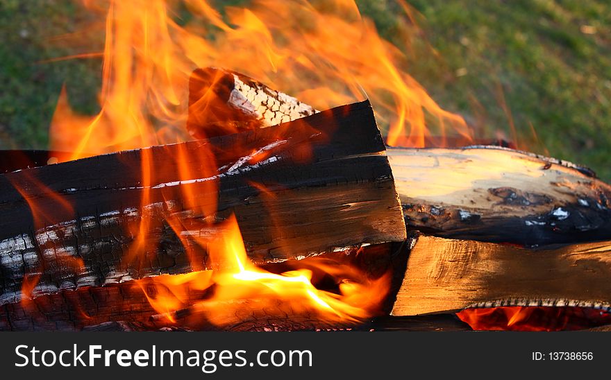 Closeup of the wood burns on fire. Closeup of the wood burns on fire