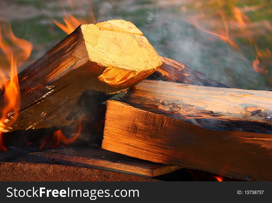 Closeup of the wood burns on fire. Closeup of the wood burns on fire