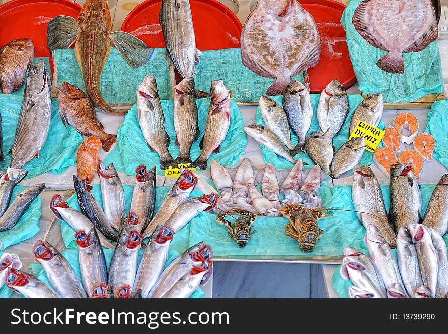 Different variety of fishes at stand