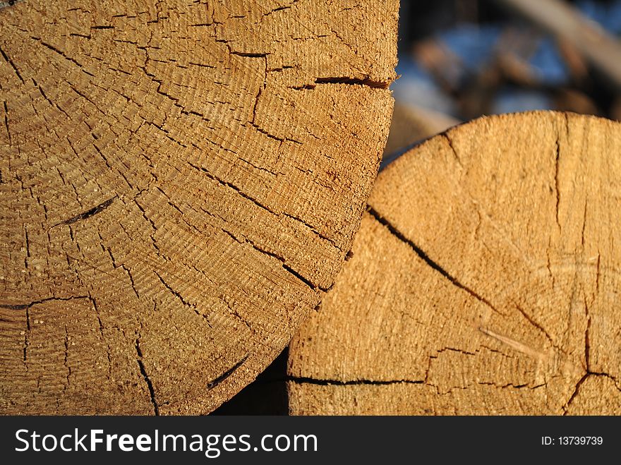 Structure of the cut tree. Structure of the cut tree