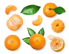Set Of Fresh Mandarin Stock Image Set Of Fresh Mandarin Stock Image