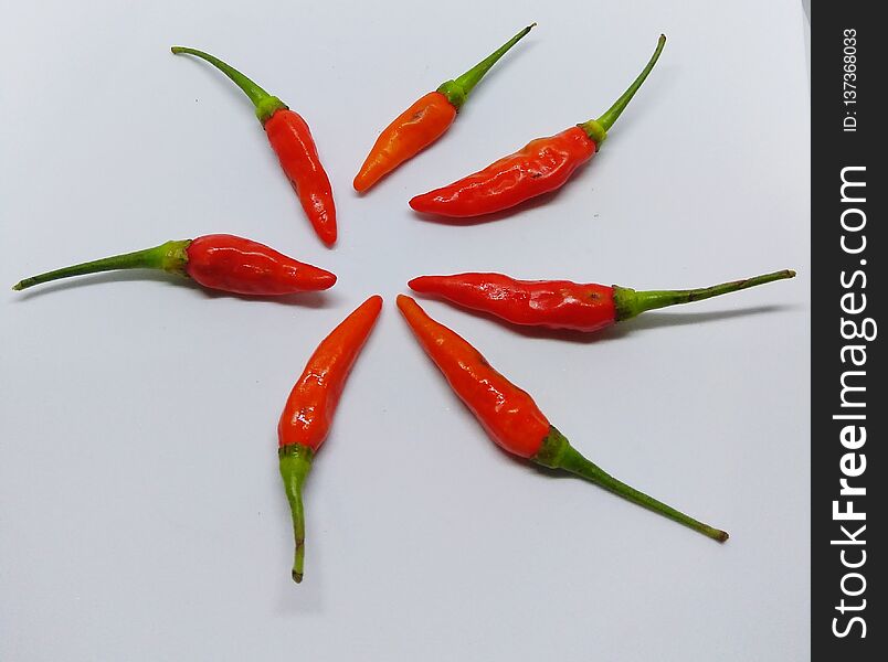 Red hot chili on white background