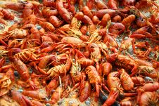 Crawfish Boiling Royalty Free Stock Photo Crawfish Boiling Royalty Free Stock Photo