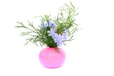Flowers In Vase Stock Photo Flowers In Vase Stock Photo