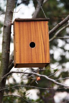 Wooden Bird House On A Branch Of A Tree Royalty Free Stock Image Wooden Bird House On A Branch Of A Tree Royalty Free Stock Image