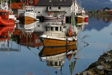 Norwegian Fjord Stock Photography Norwegian Fjord Stock Photography