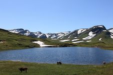 Norwegian Highlands Stock Image Norwegian Highlands Stock Image