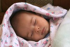 Newborn Stock Photography Newborn Stock Photography