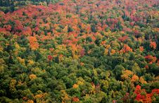 Fall Colors Royalty Free Stock Images Fall Colors Royalty Free Stock Images