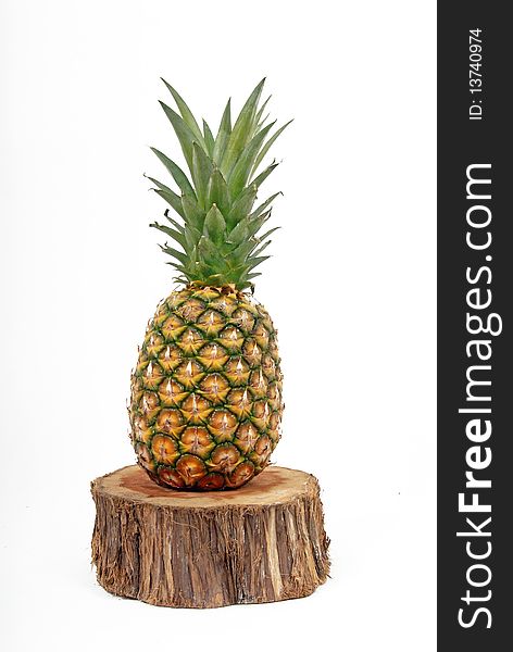Pineapple On Tree Stump