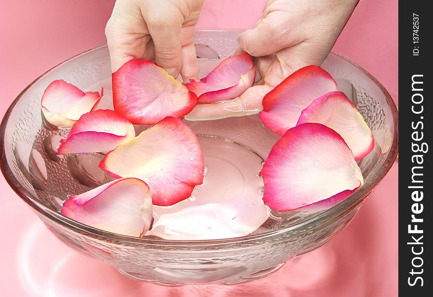 Hands in water water with rose petals spa treatment. Hands in water water with rose petals spa treatment