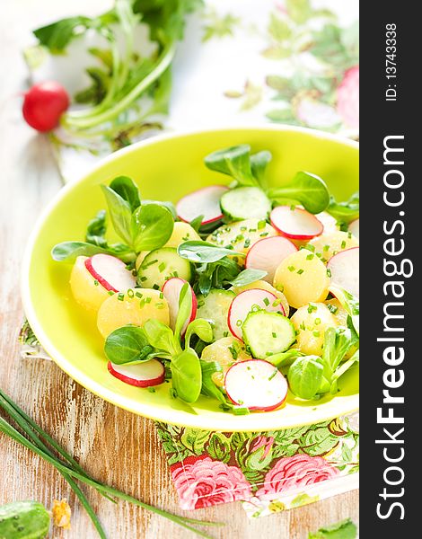 New Potato salad with radishes and cucumbers