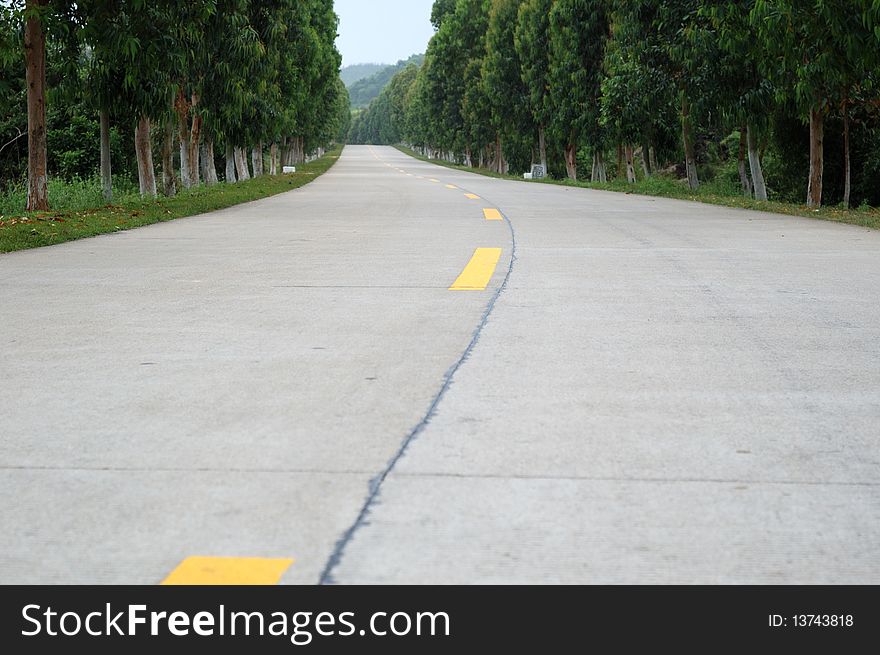 It is the road of countryside to the end, trees on side. It is the road of countryside to the end, trees on side.