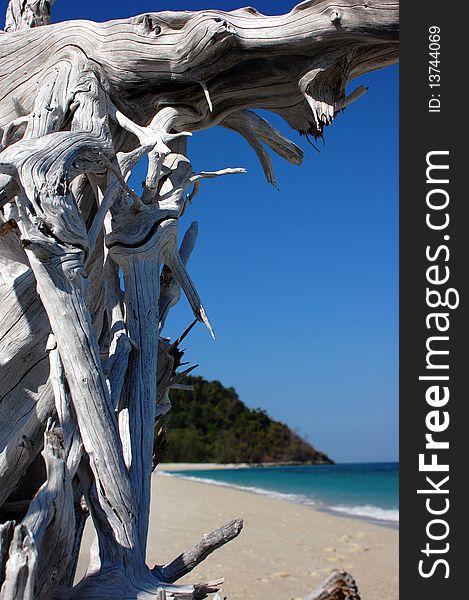 Driftwood ocean & sky on white sand beach