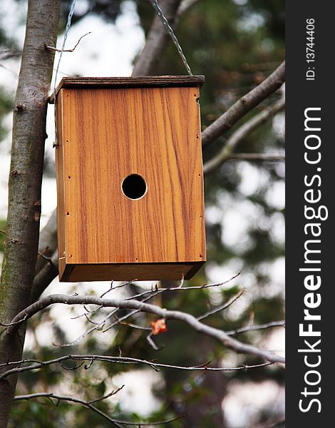 Brown wooden bird house on a branch of a tree