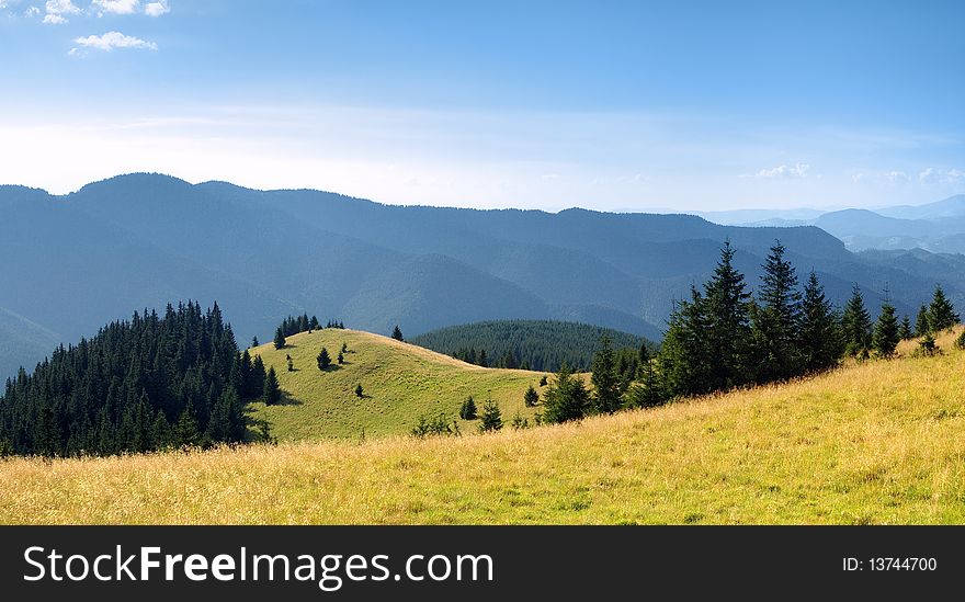 Summer landscape in mountains. A mountain valley with pines and the blue sky. Summer landscape in mountains. A mountain valley with pines and the blue sky