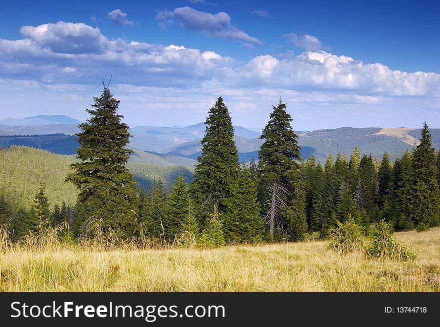 Summer landscape in mountains. A mountain valley with pines and the blue sky. Summer landscape in mountains. A mountain valley with pines and the blue sky