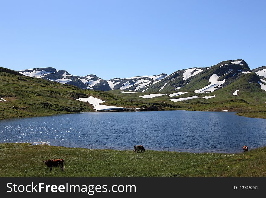 Small lake in Norwegian Highlands