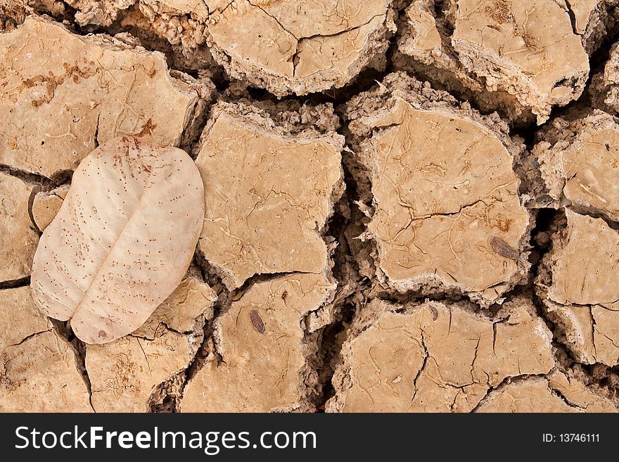Broken Soil In Dry Season