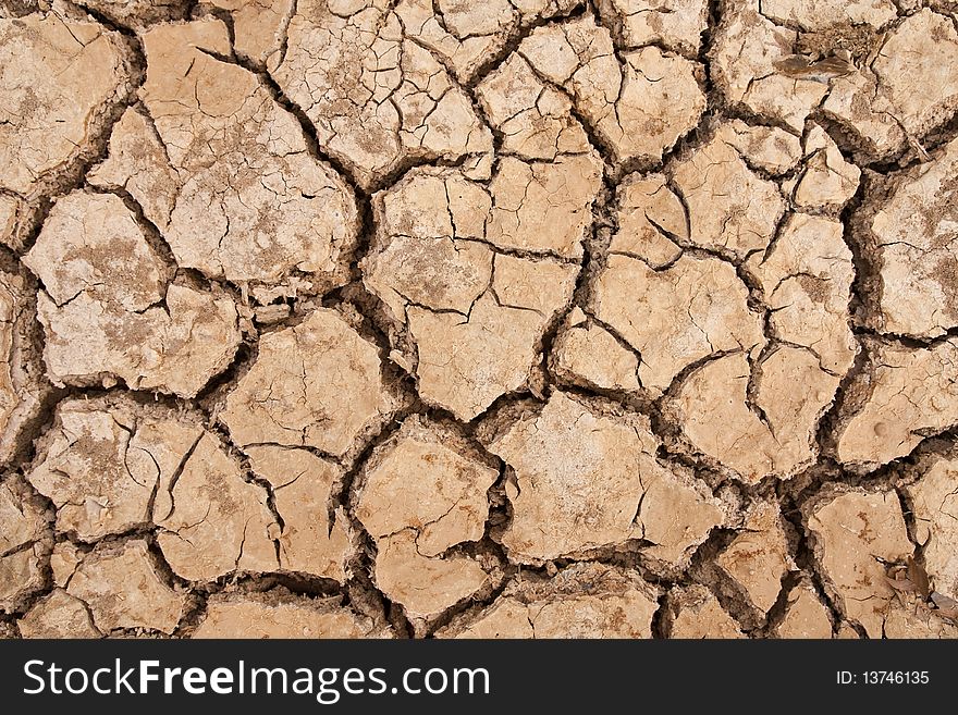 Tuxture of soil in dry field. Tuxture of soil in dry field