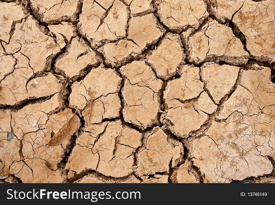 Surface of land in dry season. Surface of land in dry season