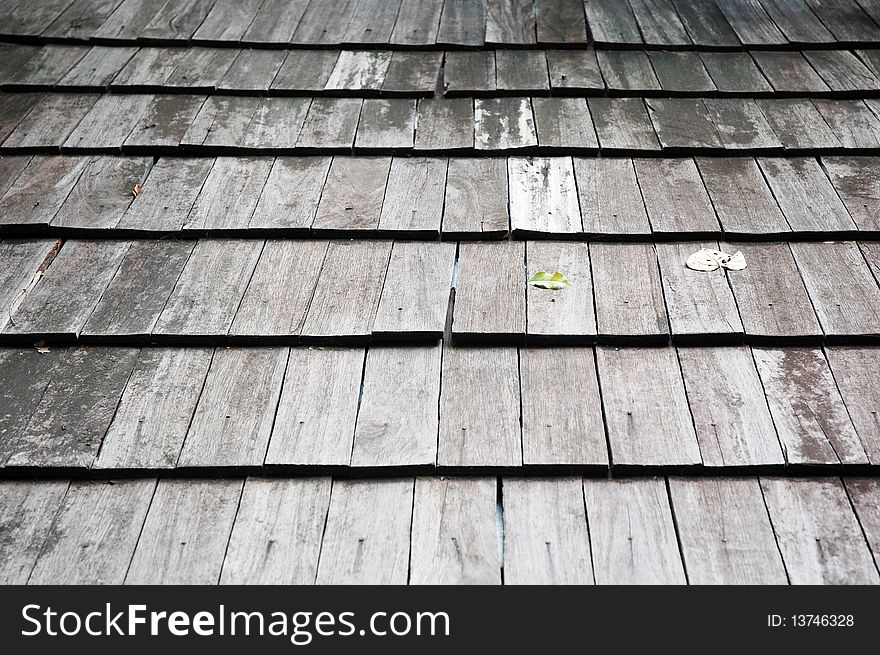 A wooden roof at the garden