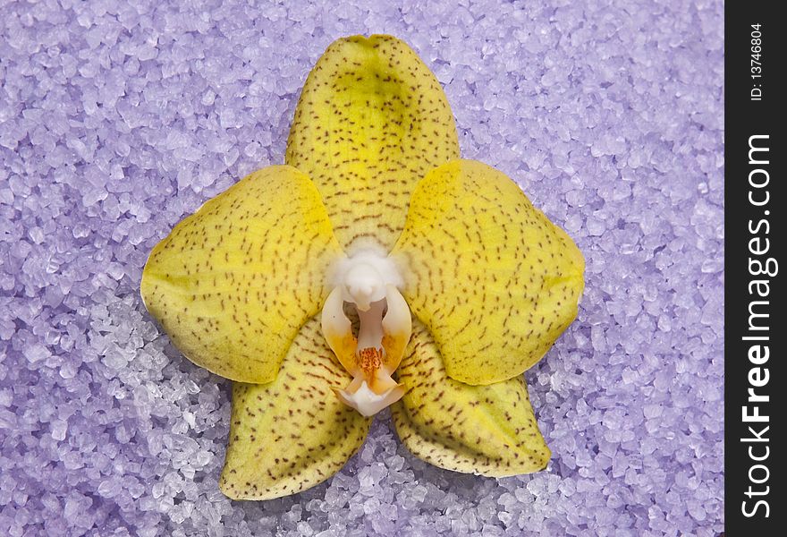 Yellow orchid on a background of purple bath salts. Yellow orchid on a background of purple bath salts.