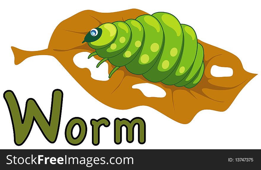 Animal alphabet W for worm