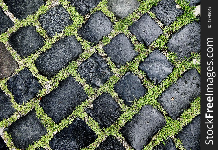 Cobble road with grass growing between cobbles