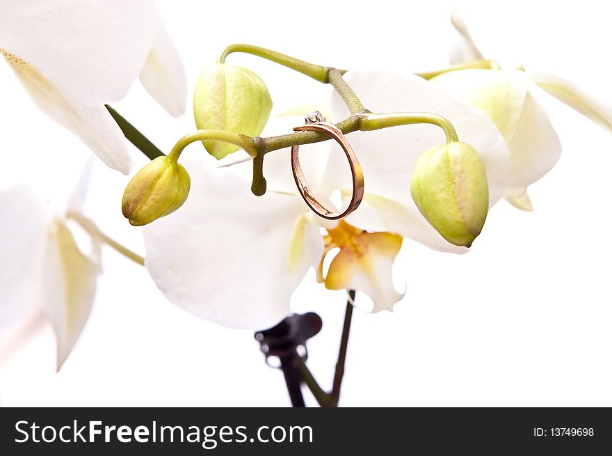 Gold ring with flower isolated on white. Gold ring with flower isolated on white