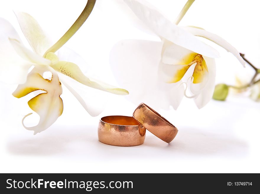 Gold rings with orchid isolated on white background