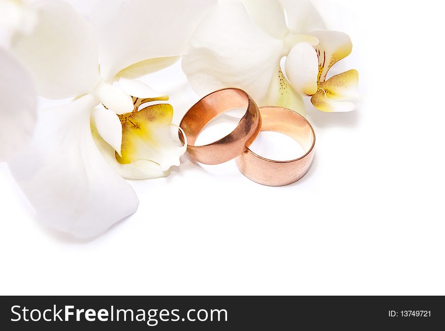 Gold rings with orchid isolated on white background. Gold rings with orchid isolated on white background